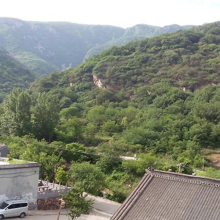 Kungfu Hostel （Songshan Shaolin Temple) Songyang Exterior foto